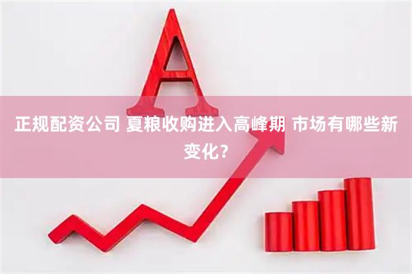 正规配资公司 夏粮收购进入高峰期 市场有哪些新变化？
